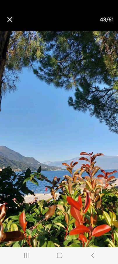 Antica Dimora Apartment San Felice del Benaco Ngoại thất bức ảnh